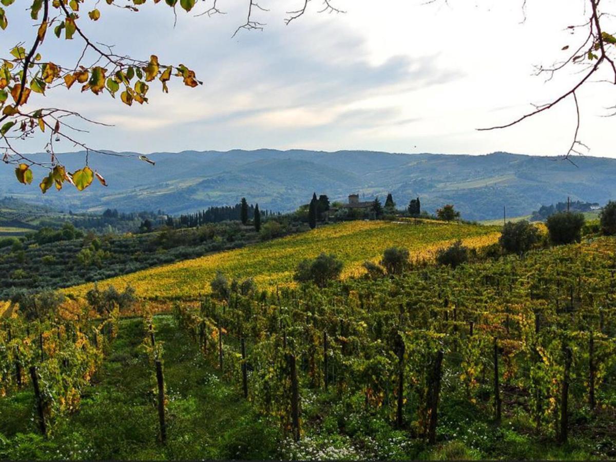 Holiday Home Locazione Turistica Selvapiana By Interhome Greve in Chianti Ngoại thất bức ảnh